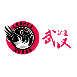 武汉女篮logo